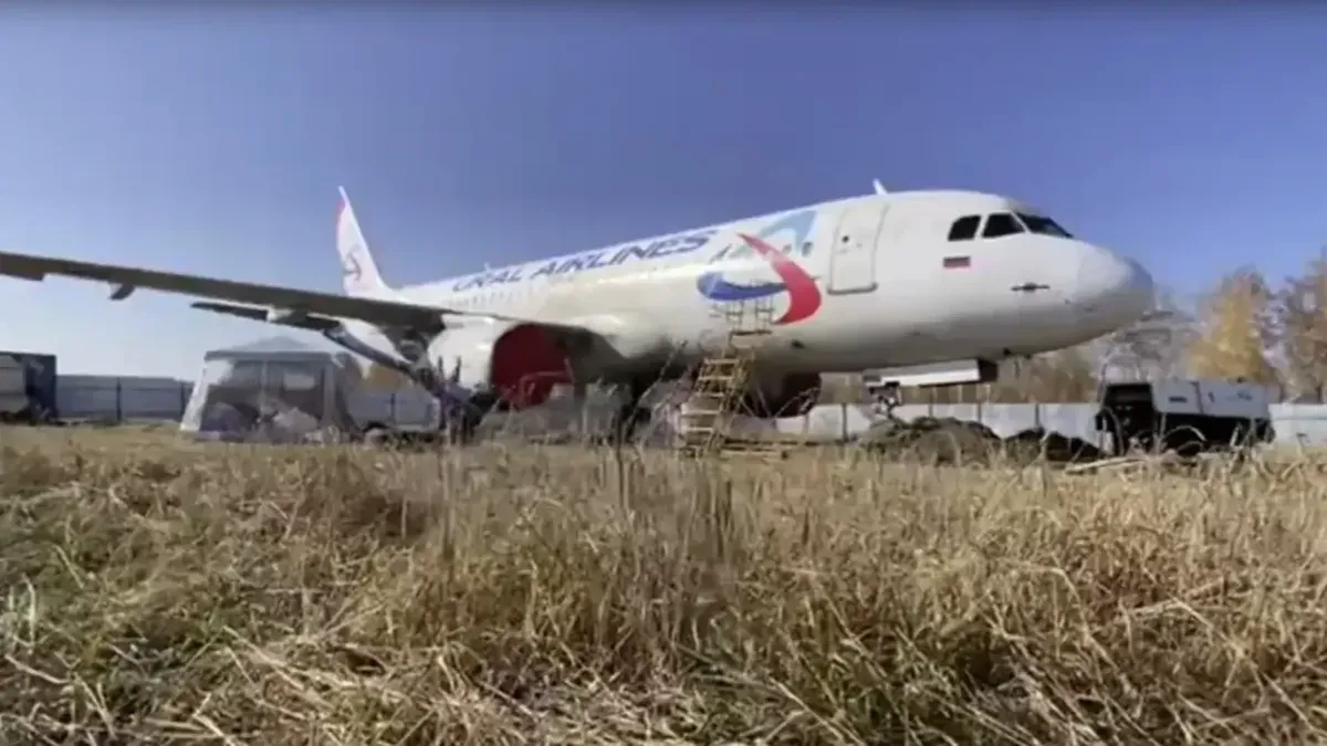 Самолет «Уральских авиалиний», приземлившийся в поле. Фото: Весь Искитим