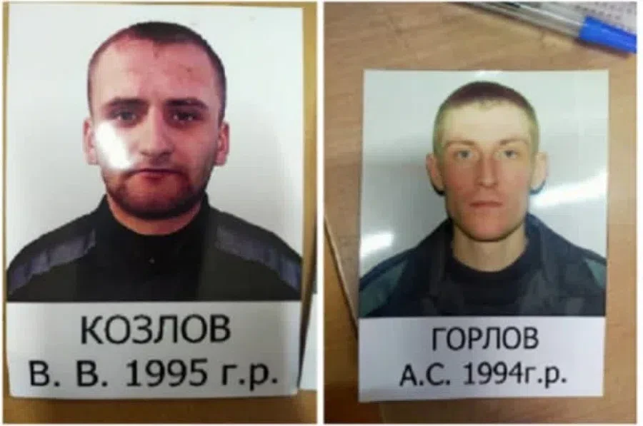 Коллаж АиФ