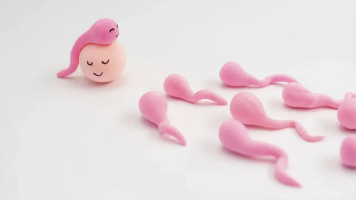 Некоторые продукты способны влиять на вкус спермы. Фото:Freepik