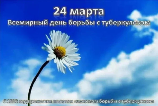 открытка