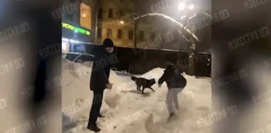 В центре Москвы российского кинопродюсера и его собаку избил сосед. Пострадавший попал в больницу