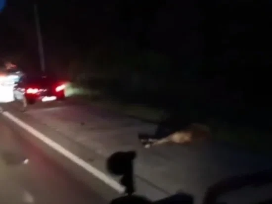 Скриншот видео