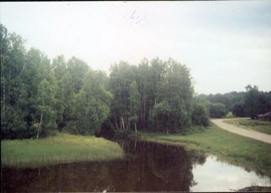 Лес