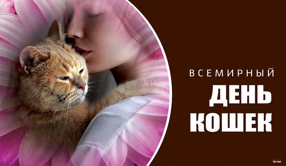 Весь Искитим – главные новости Искитима, свежие новости Искитима