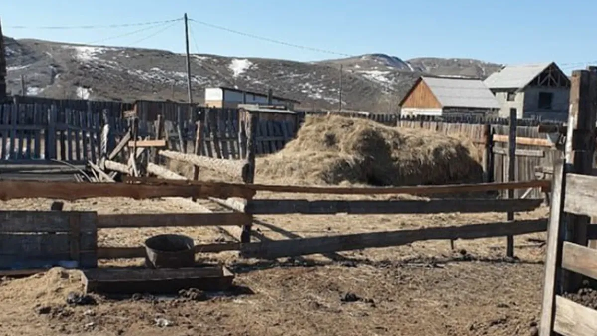 В Тыве пьяная россиянка зарезала двухлетнюю дочь своей сестры у нее в гостях