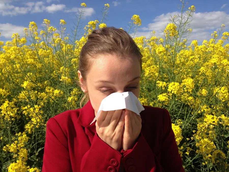 Чихание, слезы, сопли и зуд в глазах: как справиться с аллергией весной