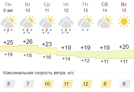 Почти всю неделю ожидаются дожди