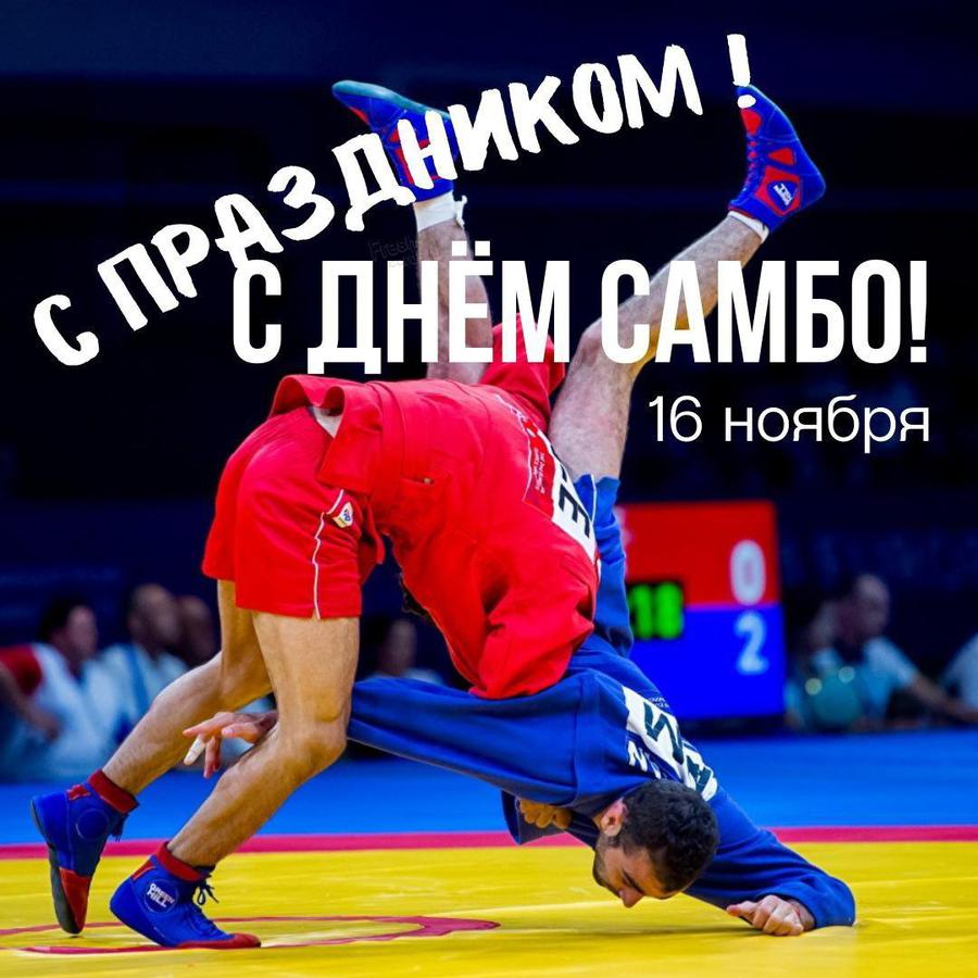 С Днем самбо! Яркие поздравления для всех российских самбистов 16 ноября