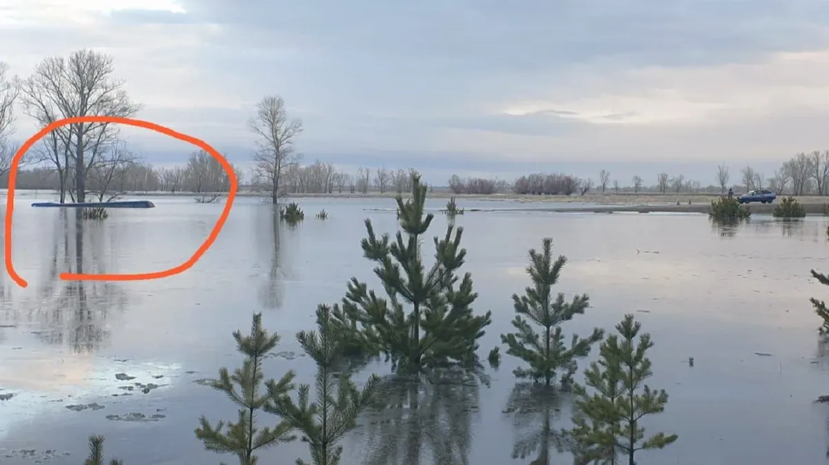 Появилось фото автобуса, который утонул в талых водах в Волчихинском районе Алтая