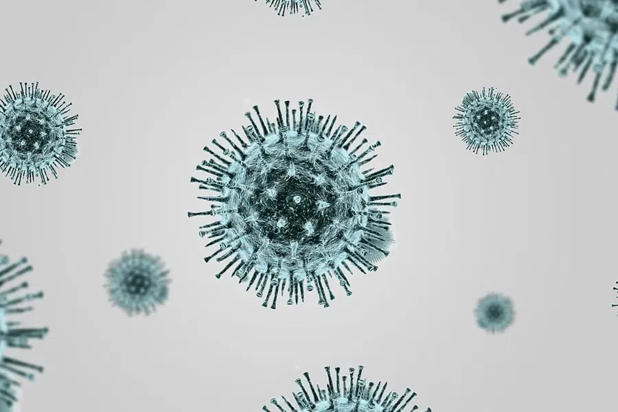 Иммунная система раннего реагирования может бороться с коронавирусом