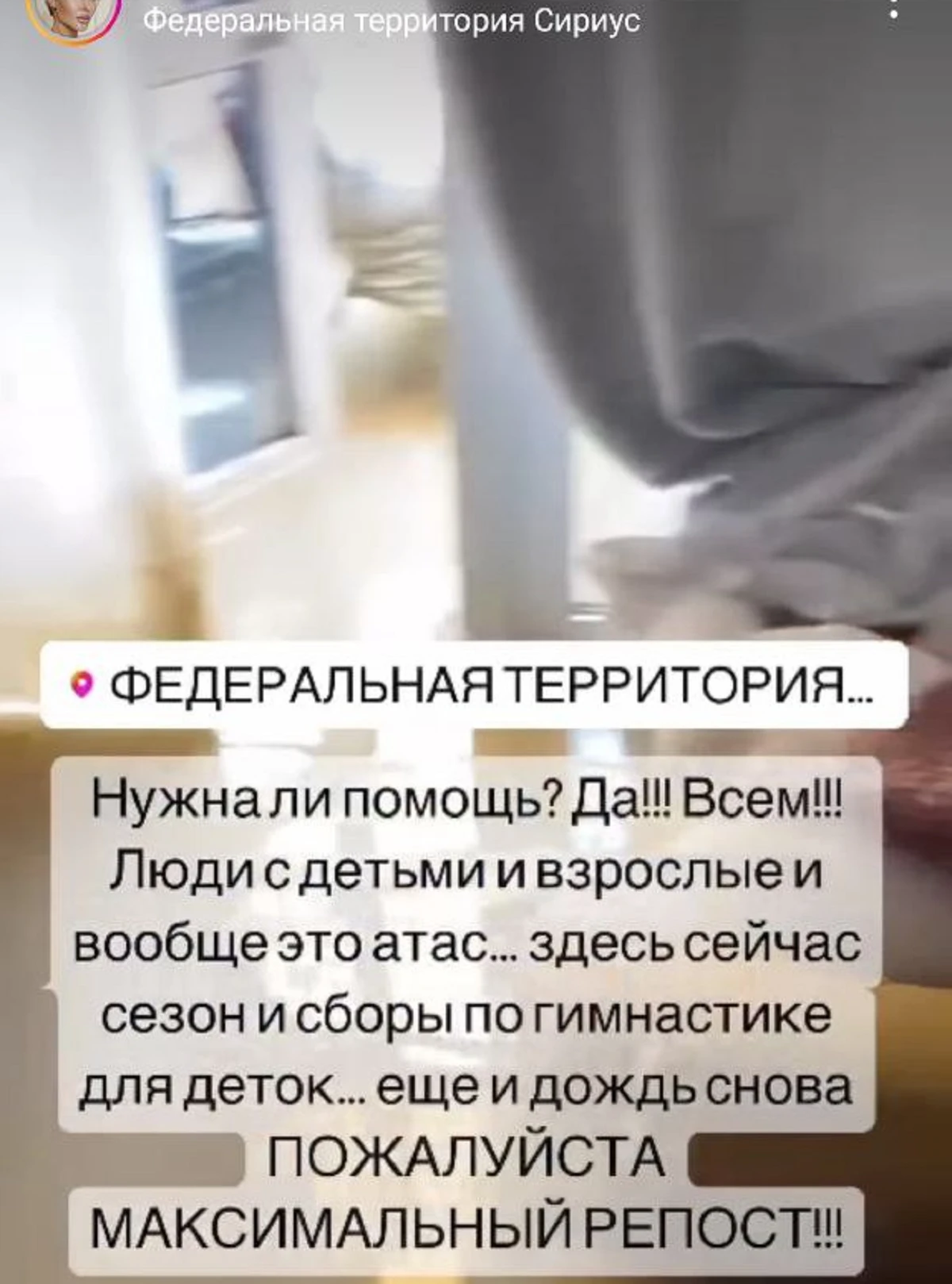 Элина Камирен / Instagram* (принадлежит Meta*, она запрещена в России и признана экстремистской)