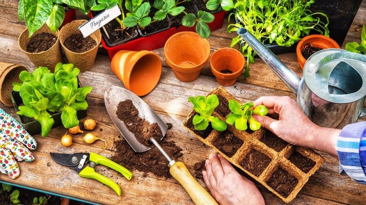 стол для посадки растений
