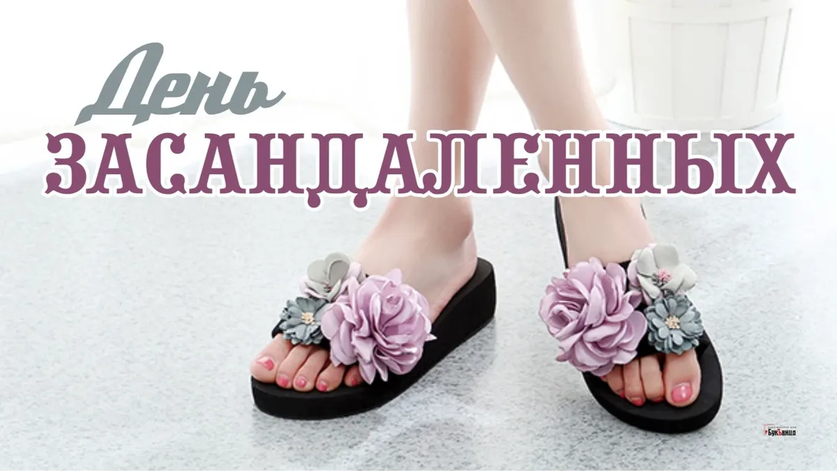 с днем засандаленных открытки. день засандаленных 10 декабря картинки прикольные. 10 декабря праздник. 10 декабря праздник засандаленных. день засандаленных.