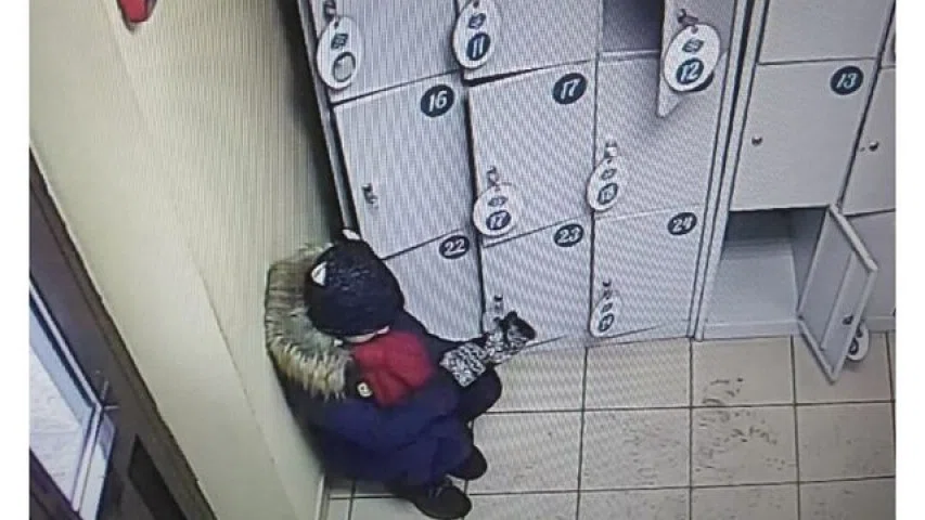 В Красноярске после эвакуации из школы девочку выгнали на мороз без ключей от дома и телефона