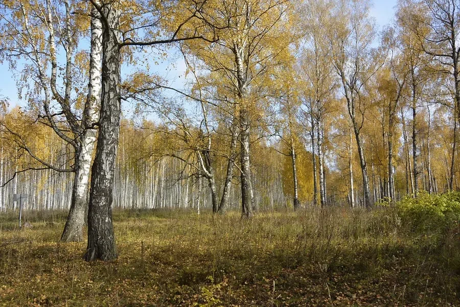 Святой Иоанн Милостивый раздал бедным все свои материальные блага.