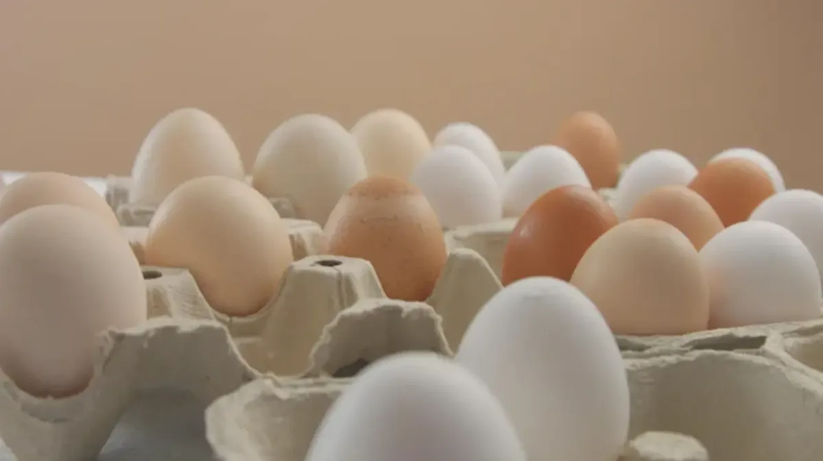 Когда подешевеют яйца в Искитиме: как изменились цены с декабря — фото до и после