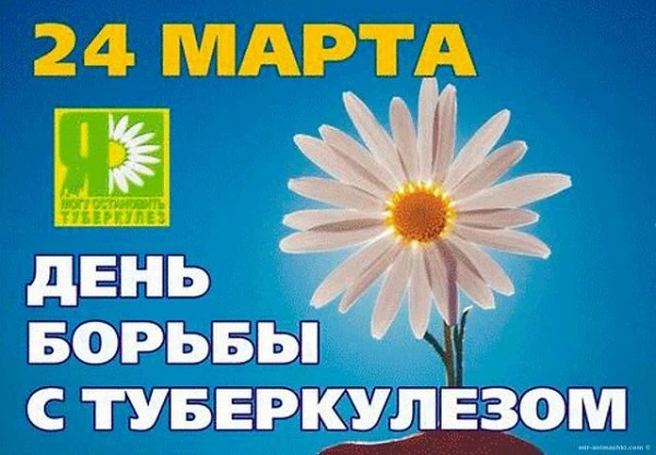 открытка