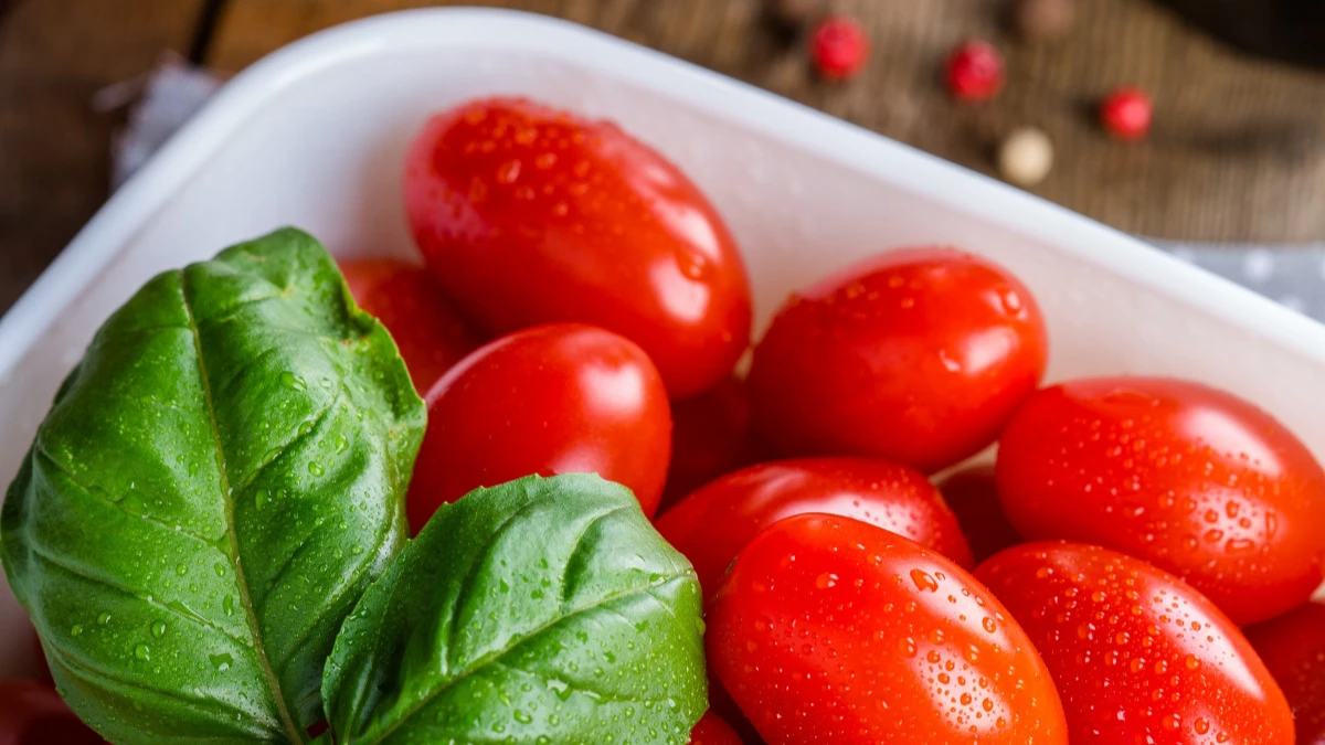 Простой совет для хранения помидоров предотвращает безвкусие плодов - как правильно хранить томаты 