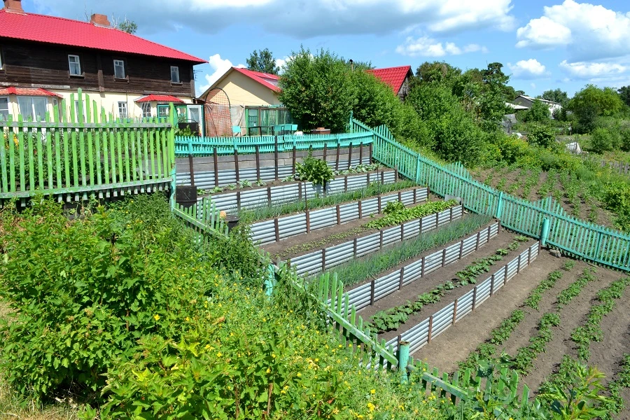огород