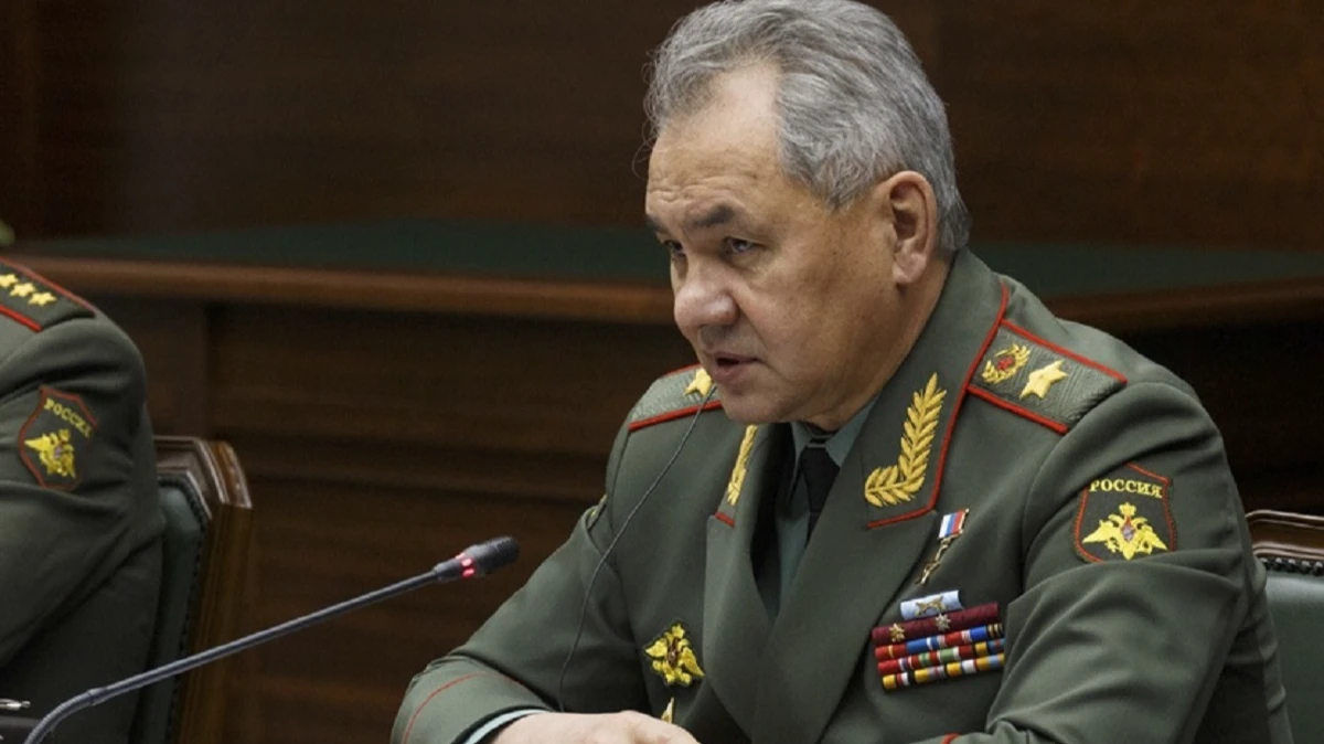 Шойгу заявил, что Россия адекватно отреагирует в случае поставок НАТО самолетов на Украину