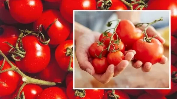 Как долго сохранить помидоры свежими - просто лайфхак