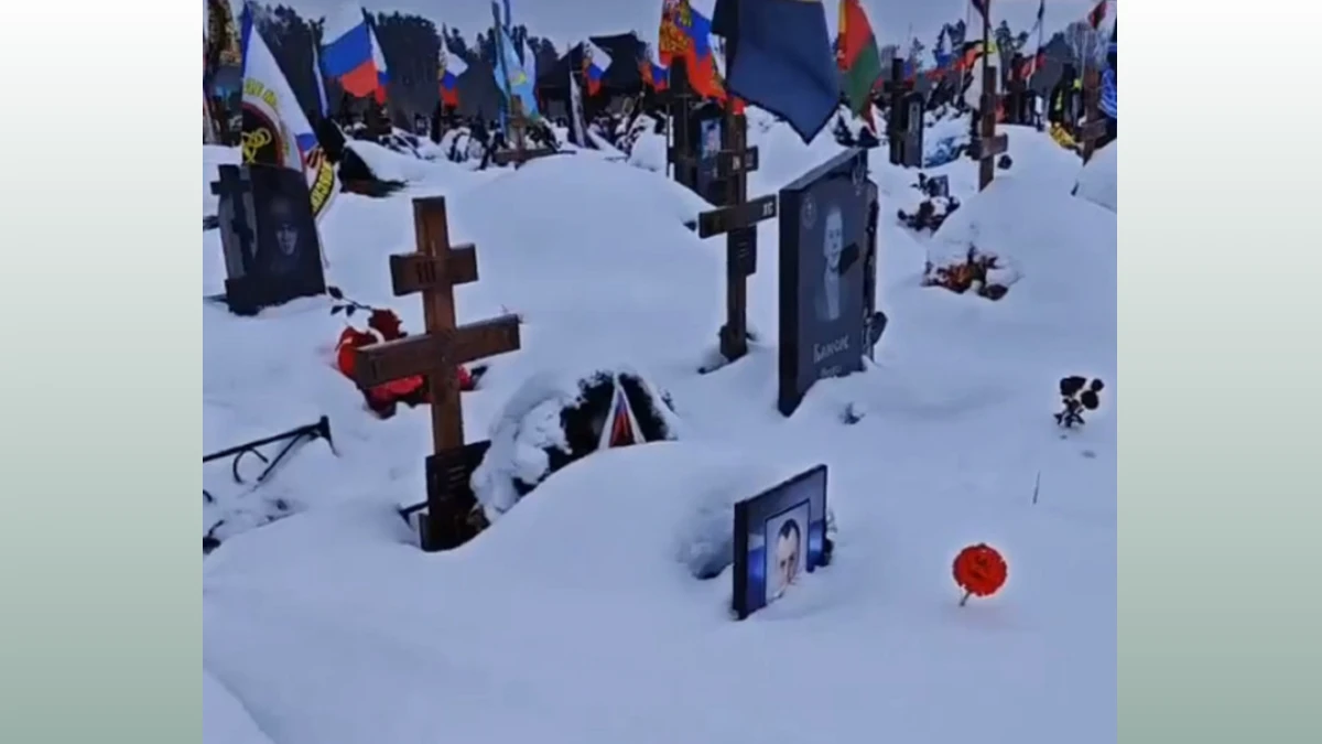 Аллея Славы на кладбище — скриншот видео отца погибшего участника СВО.