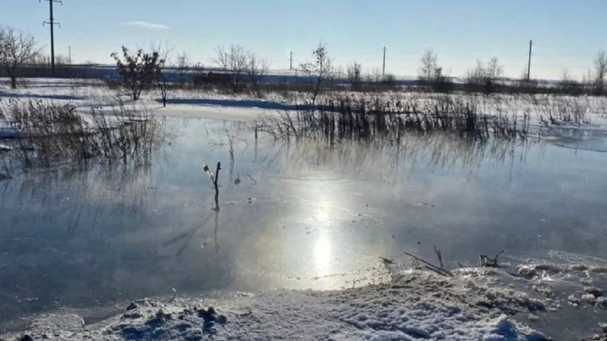 Зловонное озеро с фекалиями обнаружили под Искитимом – фото