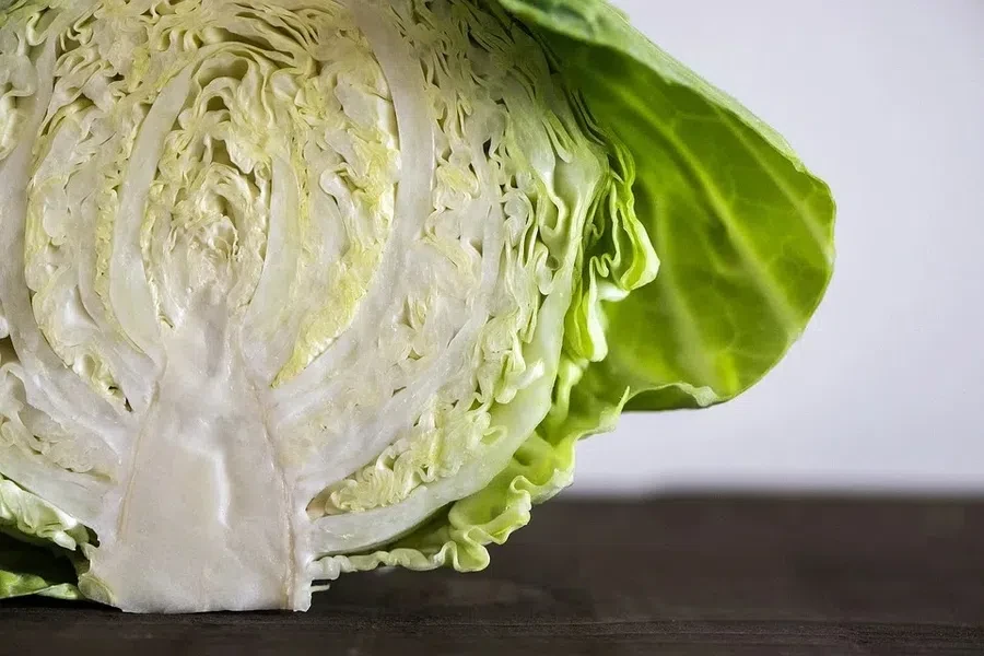 Рецепты самой вкусной квашеной капусты