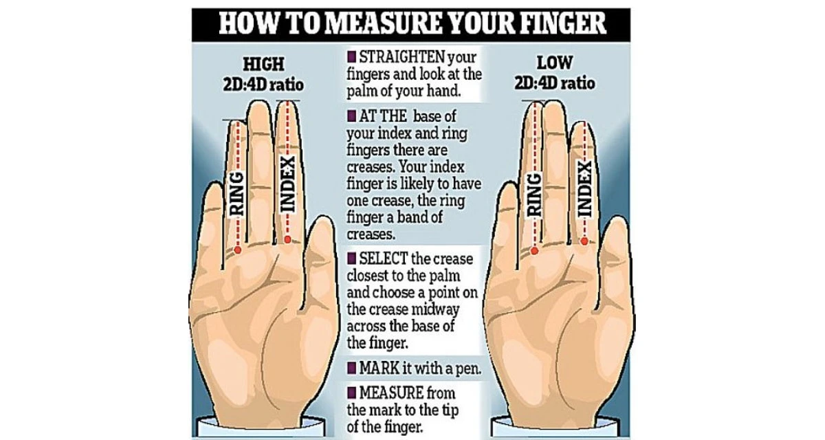 Что значит кольцо на правом указательном пальце. Finger Size. What Ring finger represent?. Безымянный палец длинный секта. Ринг индекс.