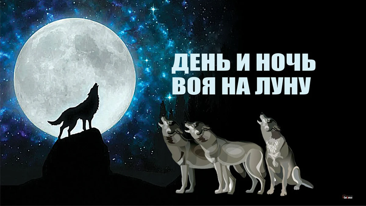 День и ночь воя на луну. Иллюстрация: «Весь Искитим»