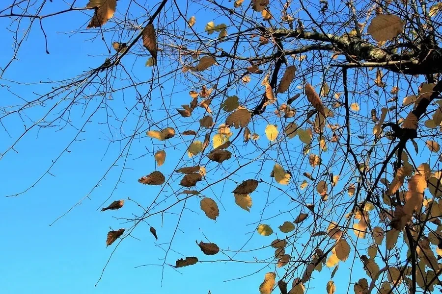 Нельзя постиранные вещи вешать в доме, сначала их необходимо повесить на улице, чтобы их обдул ветер.
