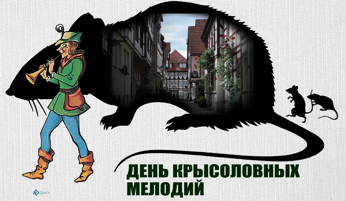 Песнь крысолова. Крысолов картинки. Легенда о крысолове из Гамельна. Мальчик Крысолов.