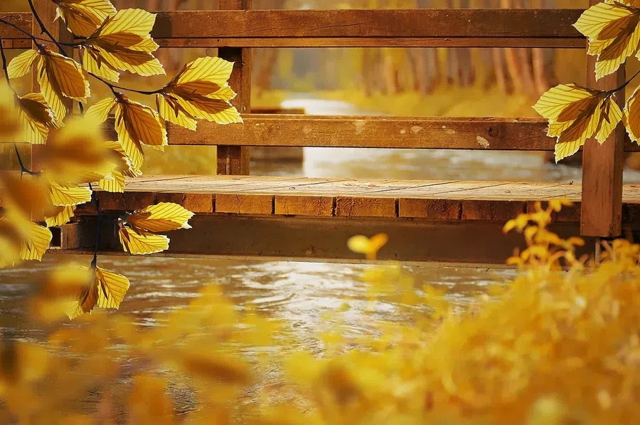 Pixabay