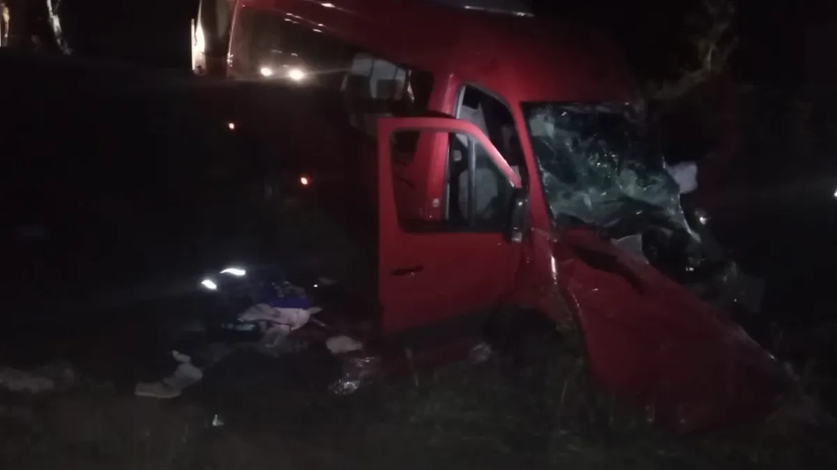 Более 10 человек увезли в больницу после столкновения микроавтобуса и грузовика под Новосибирском - фото