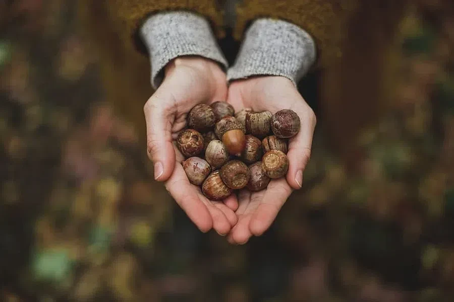 piqsels