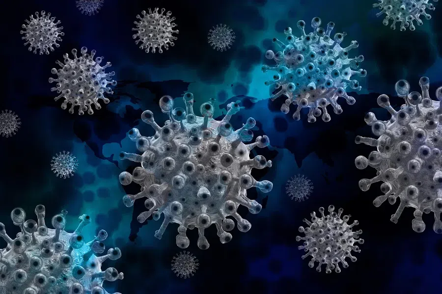 Мукормикоз: смертельно опасный «Черный грибок» стал появляться после коронавируса в легких жителей США