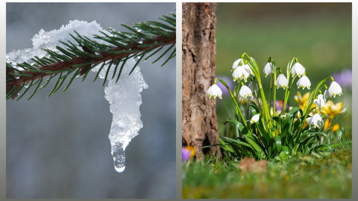 Зима вступит в схватку с весной: куда в марте 2024 придут морозы до —20 градусов — прогноз погоды для Новосибирска, Красноярска, Омска, Екатеринбурга 
