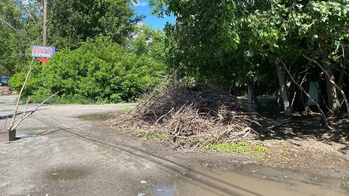 Фото: Предоставлено героями публикации