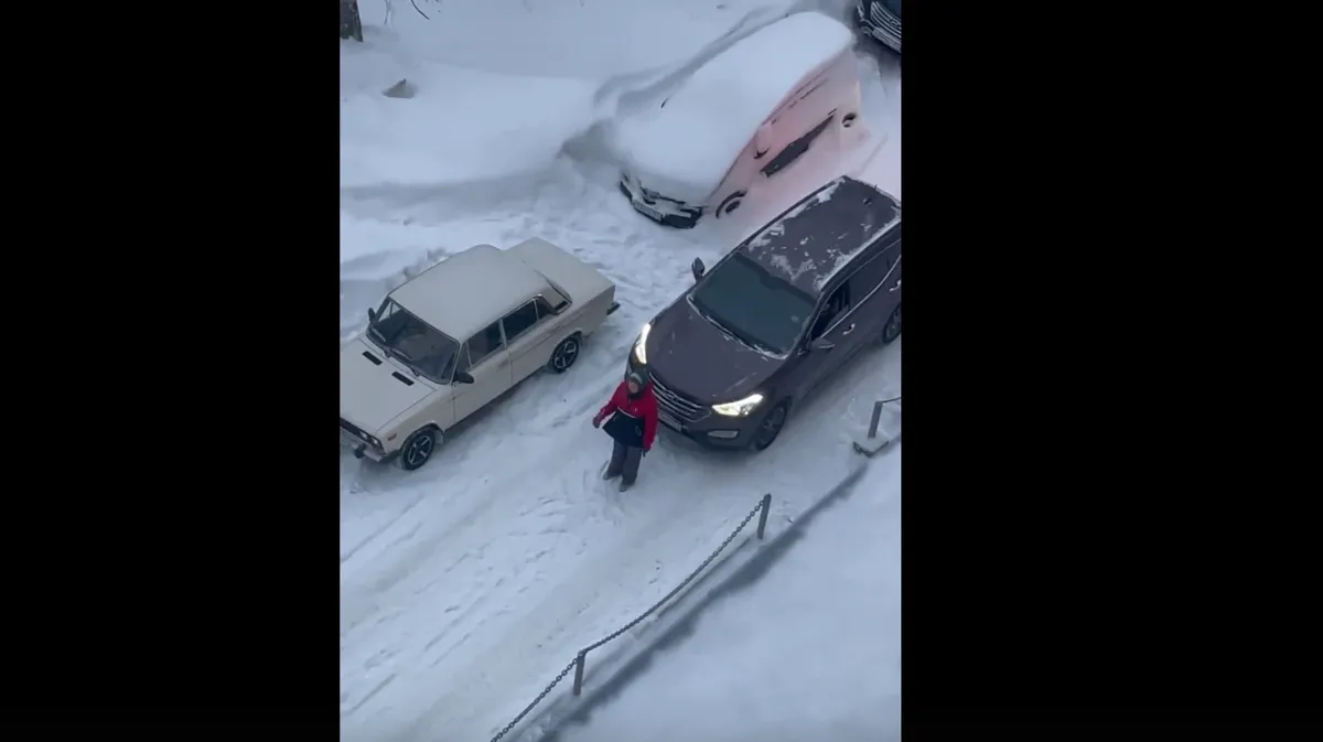 В Новосибирске женщина начала драку с водителем, объезжавшим пробку по двору - видео