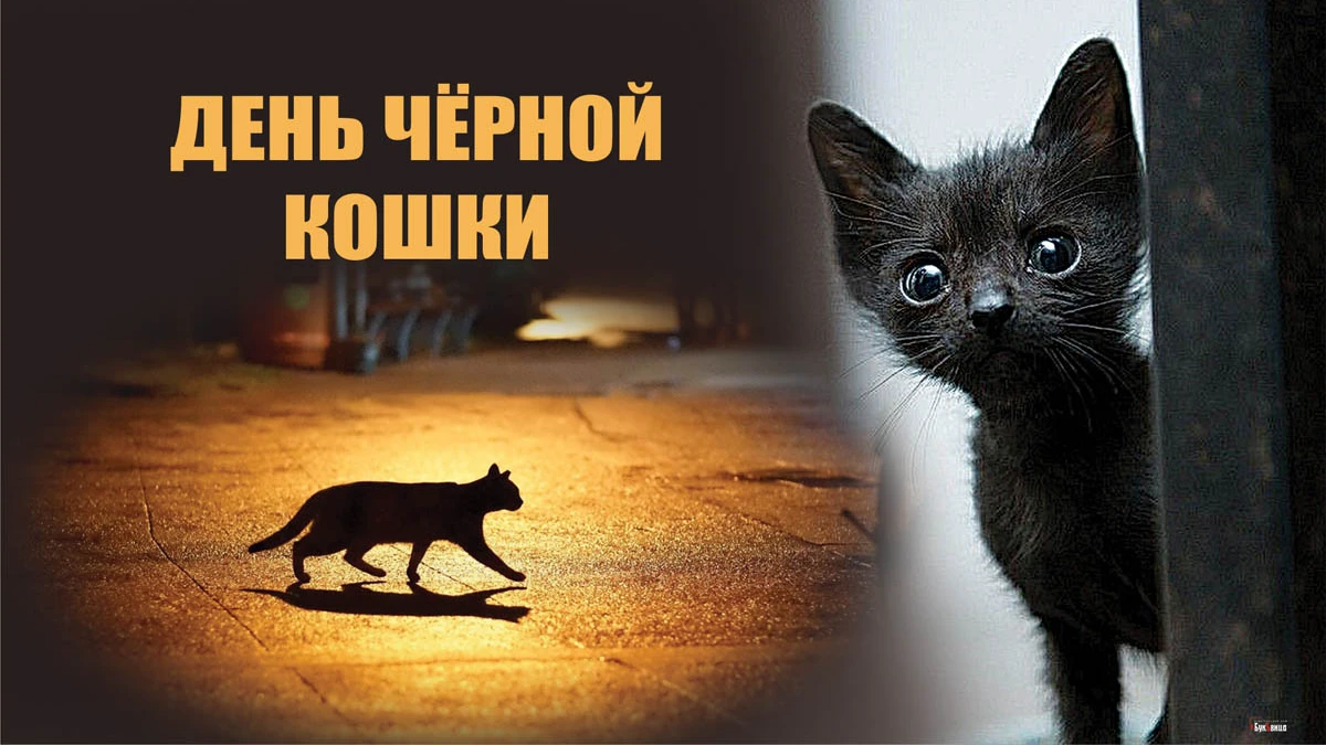 День черной кошки. Иллюстрация: «Весь Искитим»