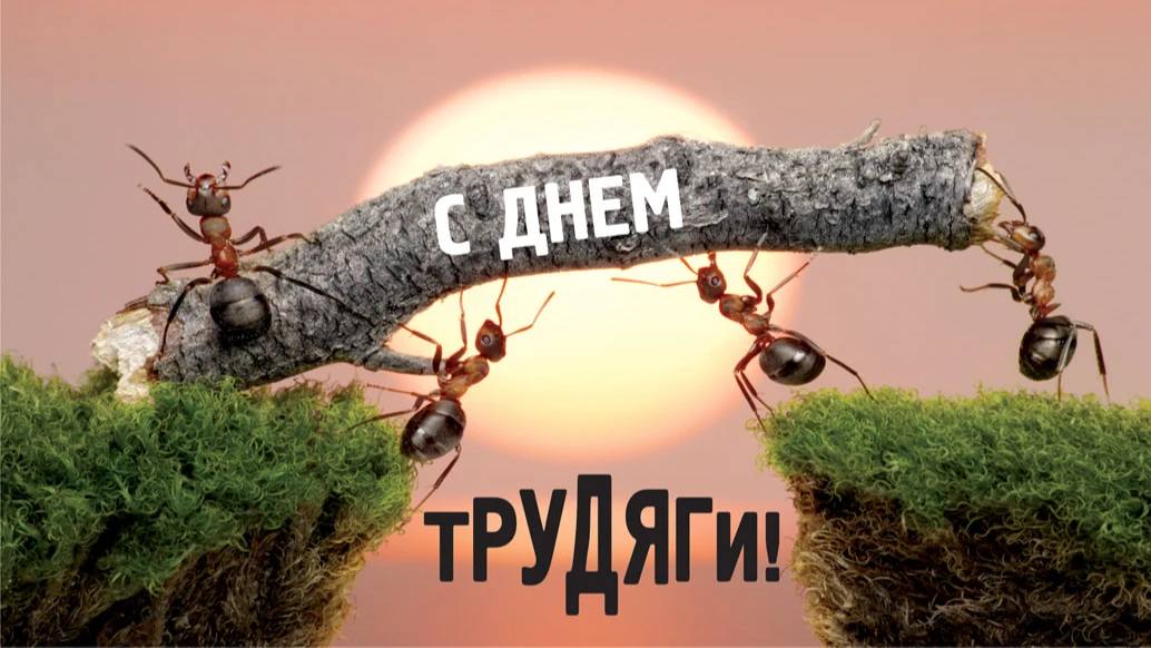 Обалденные открытки от дизайнера в День трудяги для поздравления россиян 22 июля 