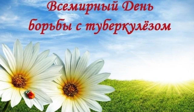 открытка