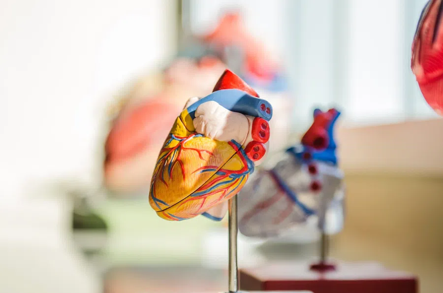 Революционный бионический кардиостимулятор способен вылечить сердечную недостаточность: начинаются испытания
