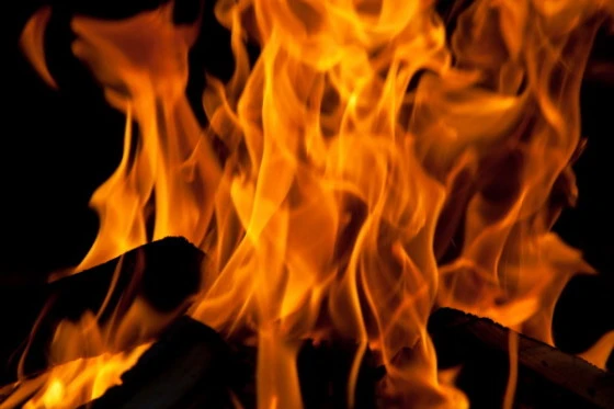 burning-fire Женщина сожгла труп лишайного котенка, чтобы не распространялась зараза