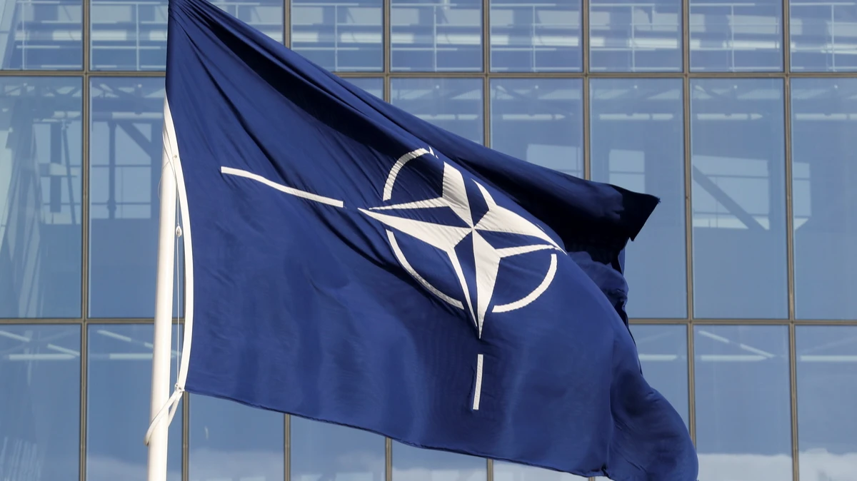 НАТО допустило сдачу территорий Украины в обмен на ее членство в альянсе