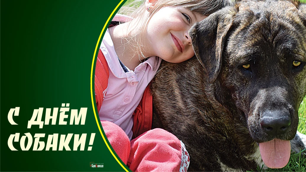 Необычные новые картинки во Всемирный день собаки 2 июля для поздравления россиян