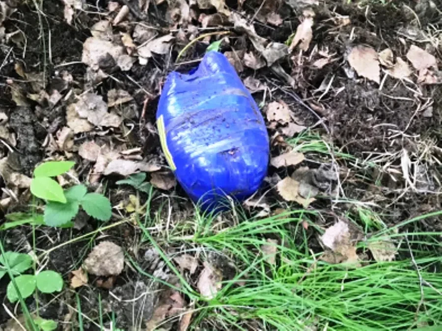 ГУ МВД по НСО