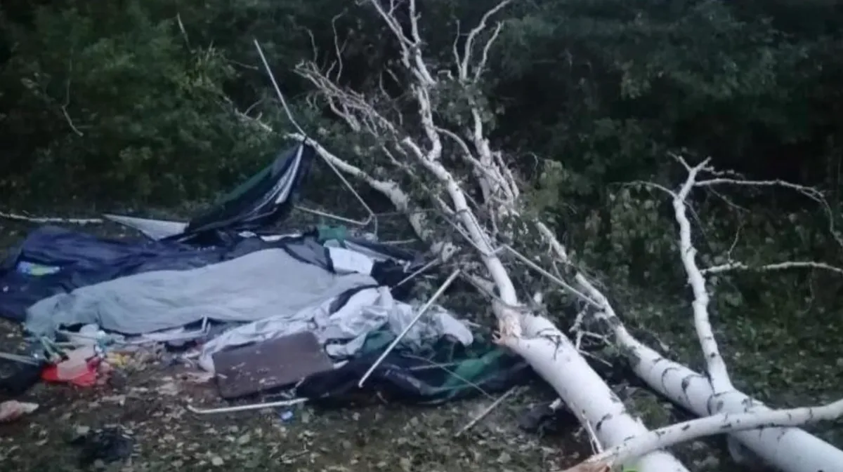 В Новосибирской области 42-летнюю женщину в палатке насмерть придавило деревом – ее муж чудом выжил