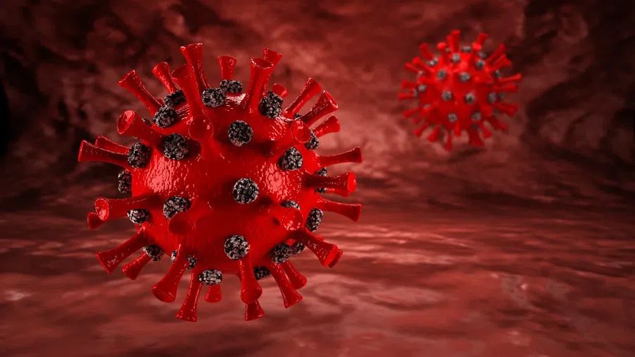 В России подтвердили четыре случая заражения новым штаммом коронавируса омикрон