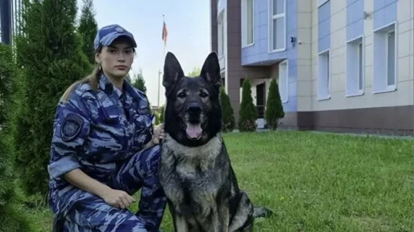 Служебная собака нашла след преступника